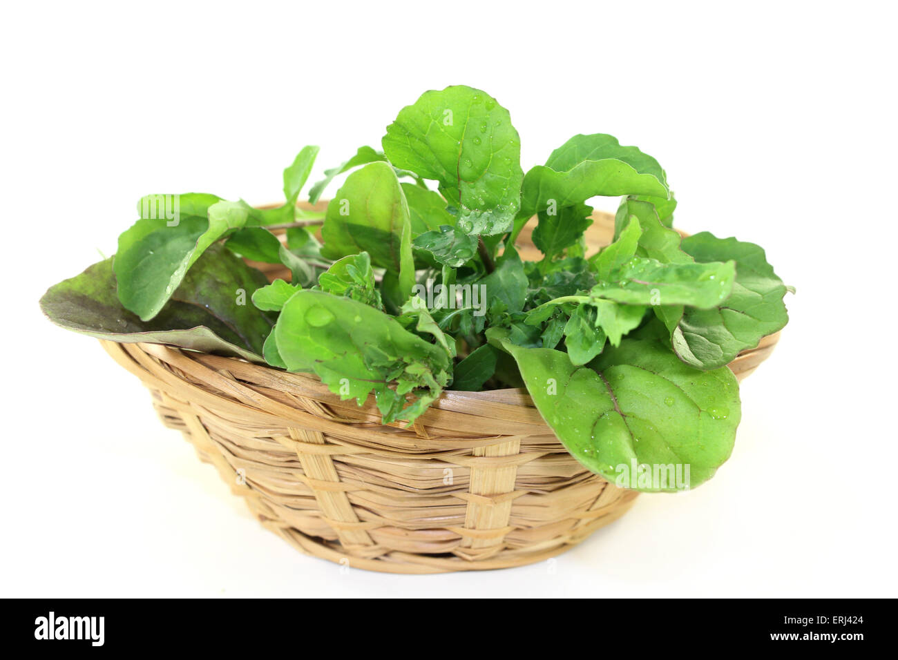 Grüne Bund Rucola auf hellem Hintergrund Stockfoto