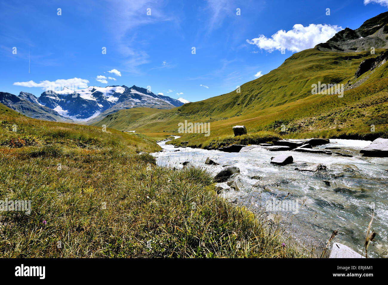 Tal La Lenta, Landschaft des Nationalparks Vanoise, mit Fluss und die Berge von Albaron, Französische Alpen, Frankreich Stockfoto