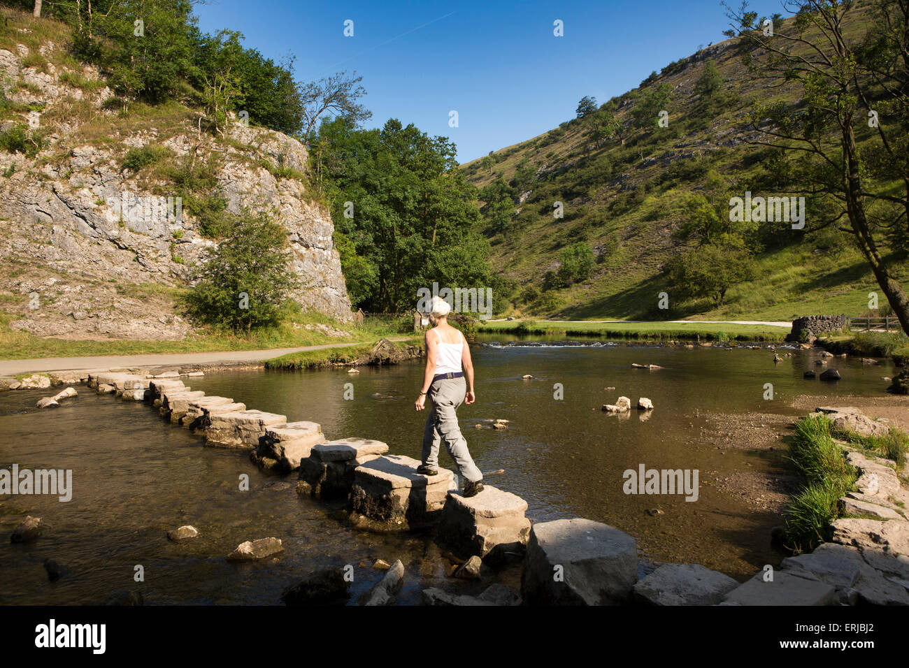 Großbritannien, England, Derbyshire, Dovedale, Fluss Dove, Besucher mit stepping-Stone-Überquerung im Sommer Stockfoto