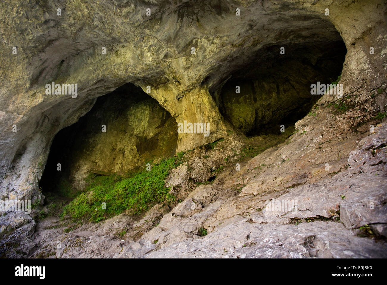 Großbritannien, England, Derbyshire, Dovedale, Taube Löcher Höhleneingang, geschaffen durch die Erosion der unterirdische Fluss Stockfoto