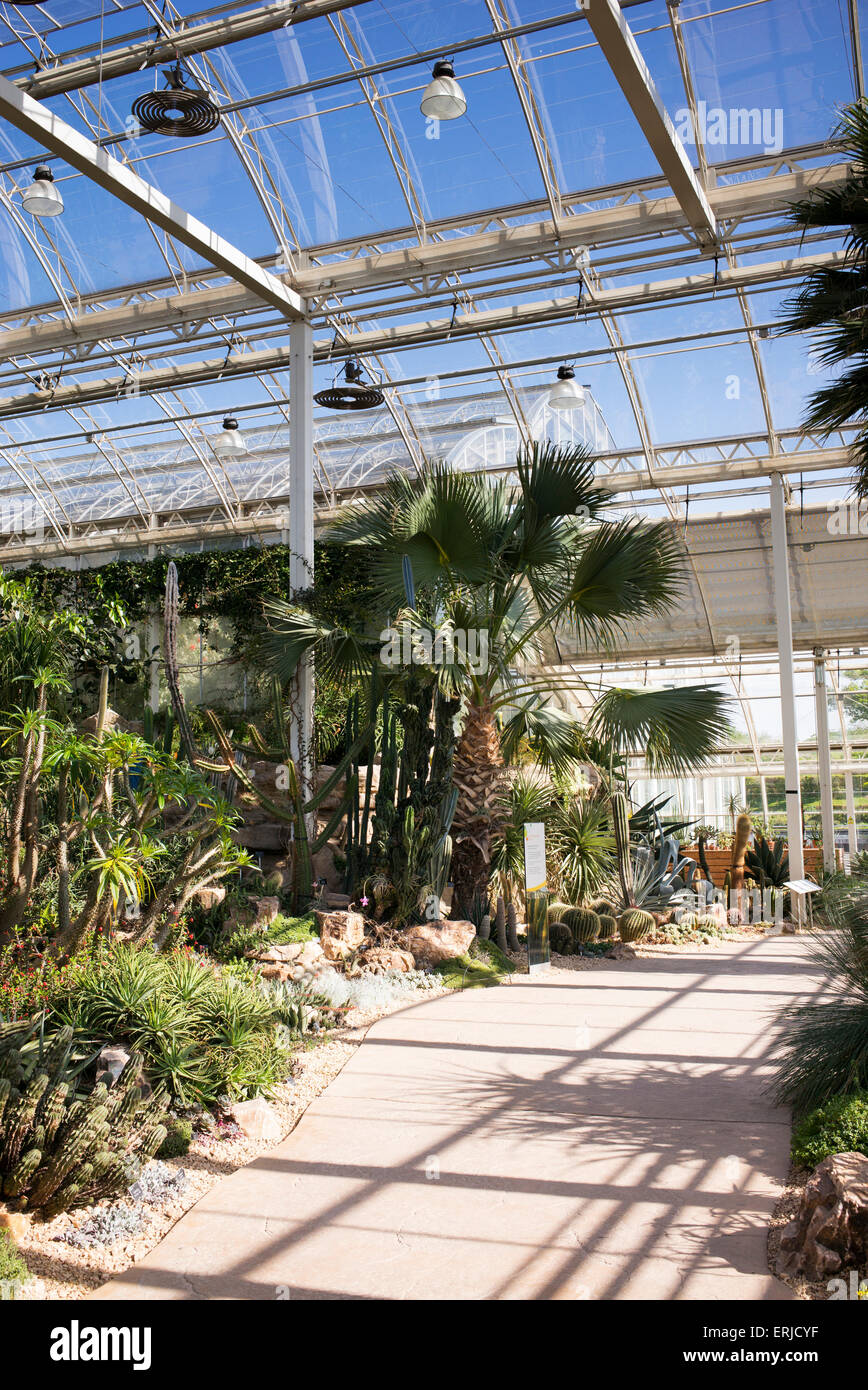 Trockenen gemäßigten Zone im Gewächshaus bei RHS Wisley Gardens. Surrey, England Stockfoto