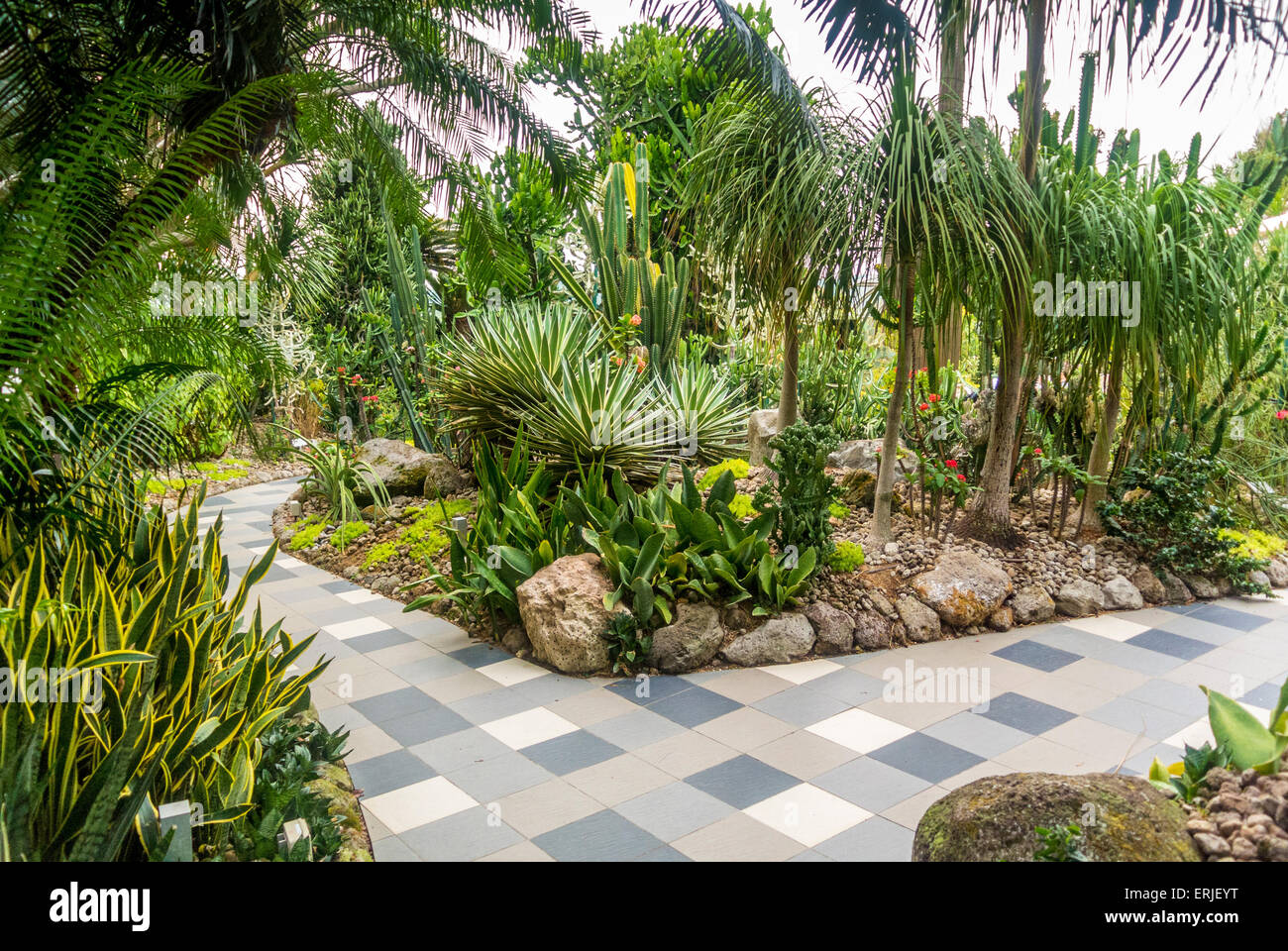 Changi Airport, Singapore. Auf dem Dach Kakteengarten. Stockfoto