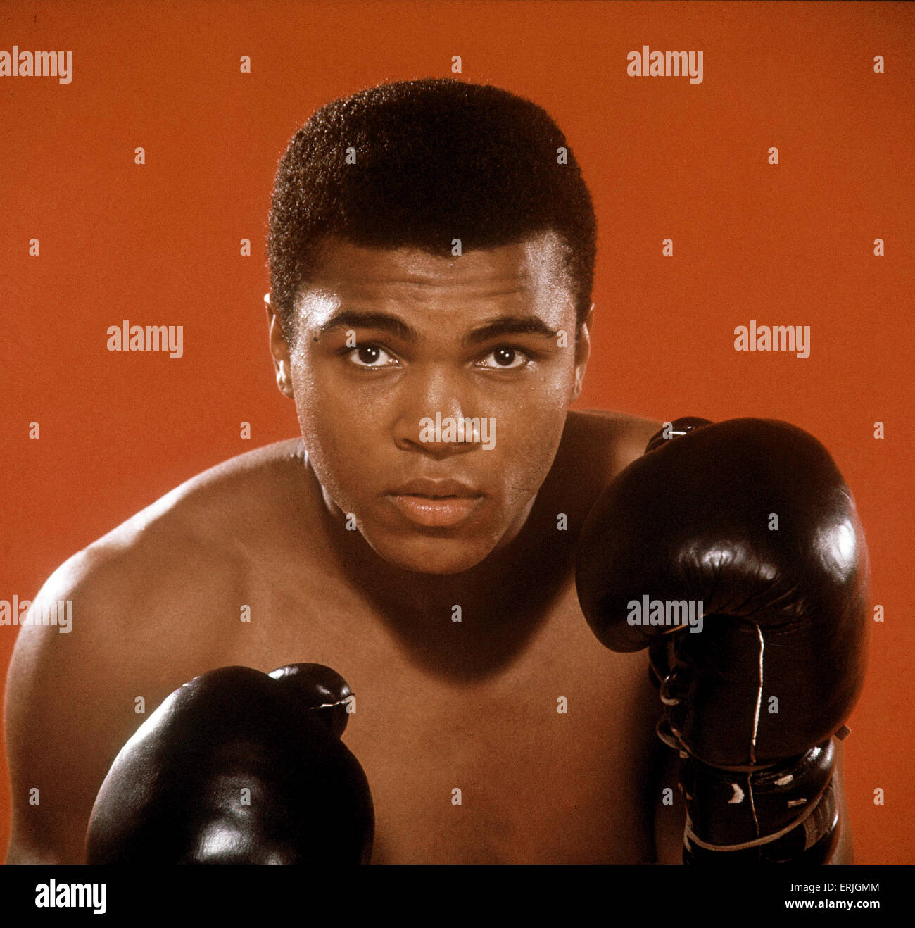 Muhammad Ali Alias Cassius Clay Boxer Foto-Shooting. Ca. 1966 Stockfoto