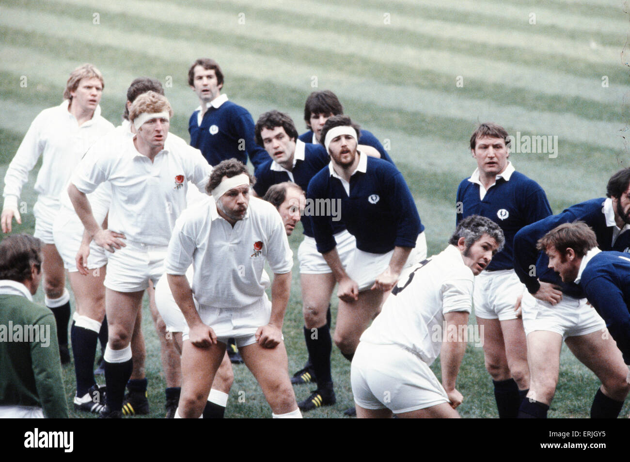 Rugby Union Five Nations International Spiel in Twickenham.  England 23 V Schottland 17. Englands Bill Beaumont in die Lineout. 21. Februar 1981. Stockfoto