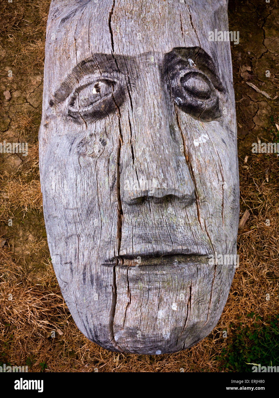 Geschnitzte hölzerne Leiter auf dem Gelände der Llynnon Mühle Eisenzeitdorf in Anglesey North Wales UK Stockfoto