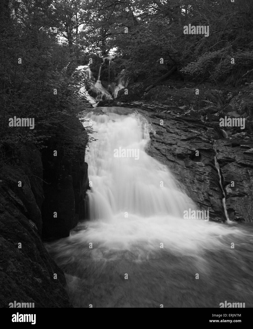 Swallow Falls, Conwy. Stockfoto