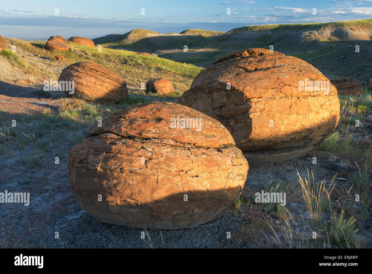 Sandstein-Konkretionen an roten Felsen Coulee natürlichen Bereich, Alberta Stockfoto