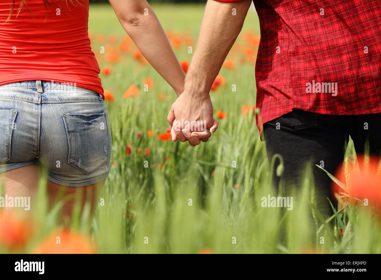 Rückansicht des ein romantisches Paar Hand in Hand in einem Feld mit roten Blüten Stockfoto