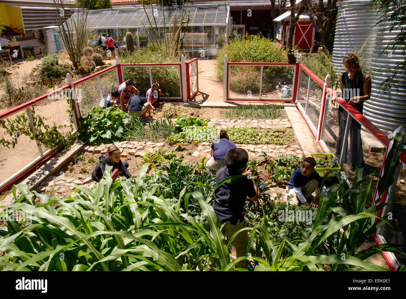 Manzo Elementary School Schuler Arbeiten In Der Schule Bio Garten
