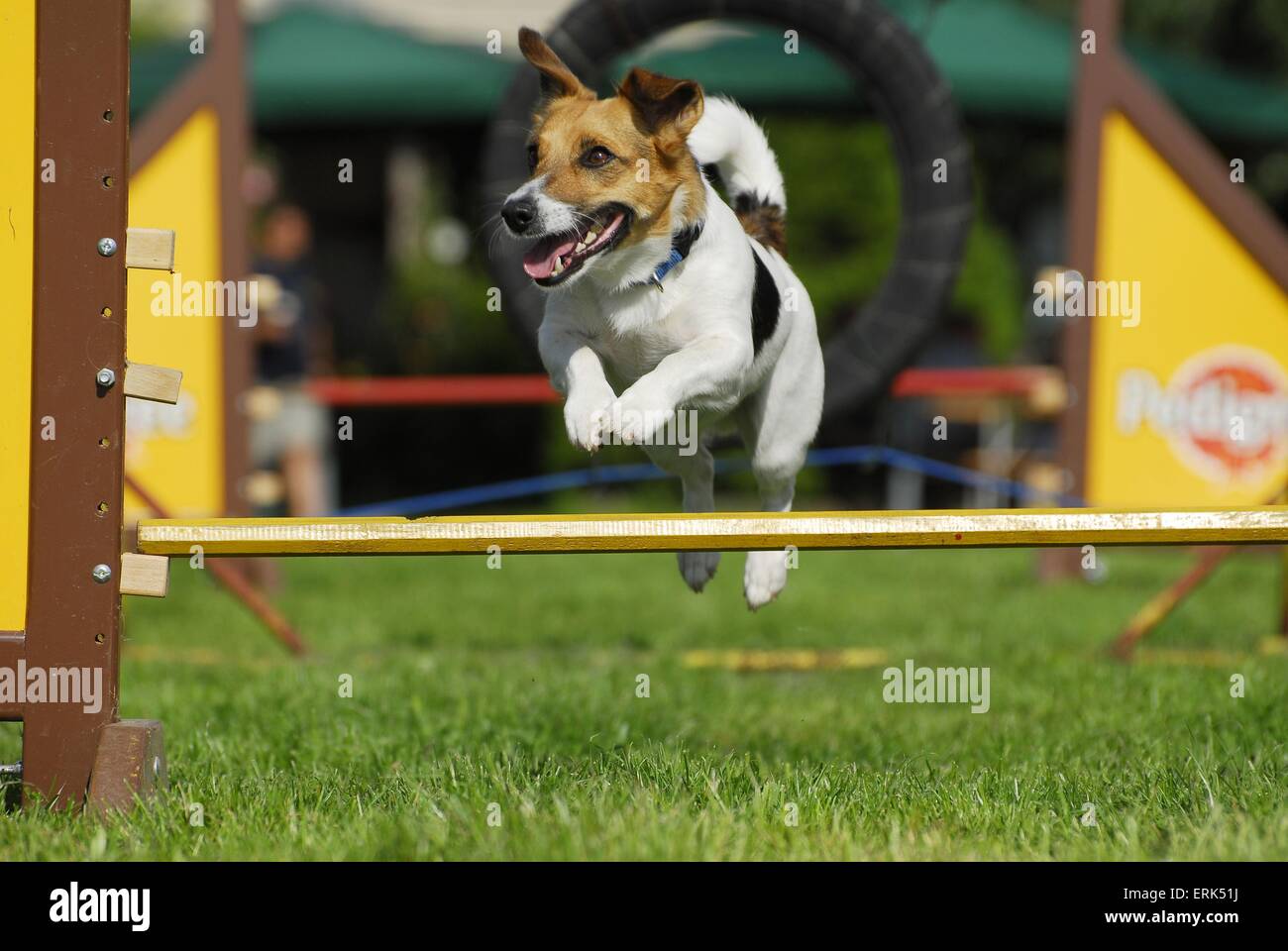 Agilität Stockfoto