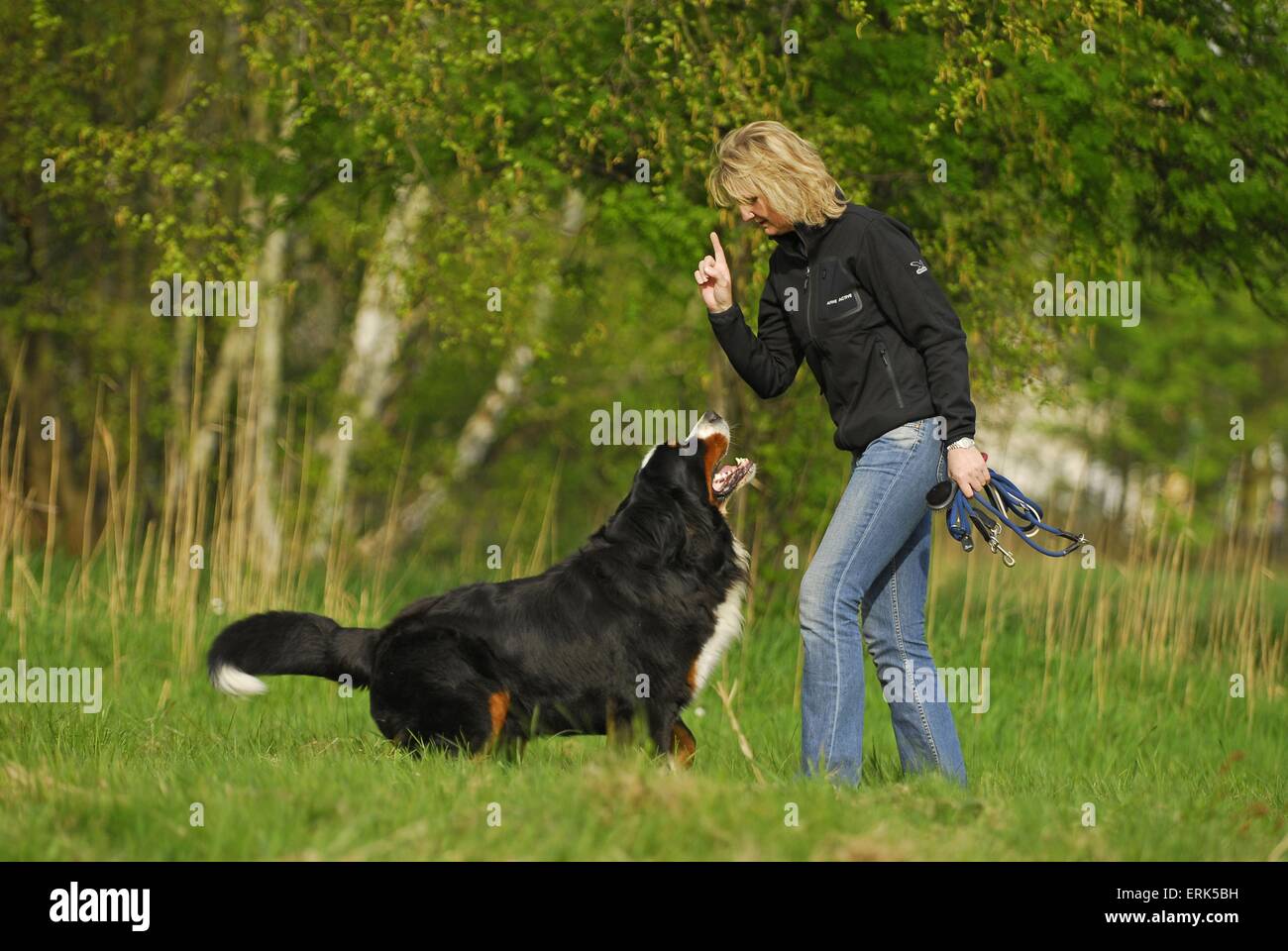 Befehl an den hund Fotos und Bildmaterial in hoher Auflösung Alamy