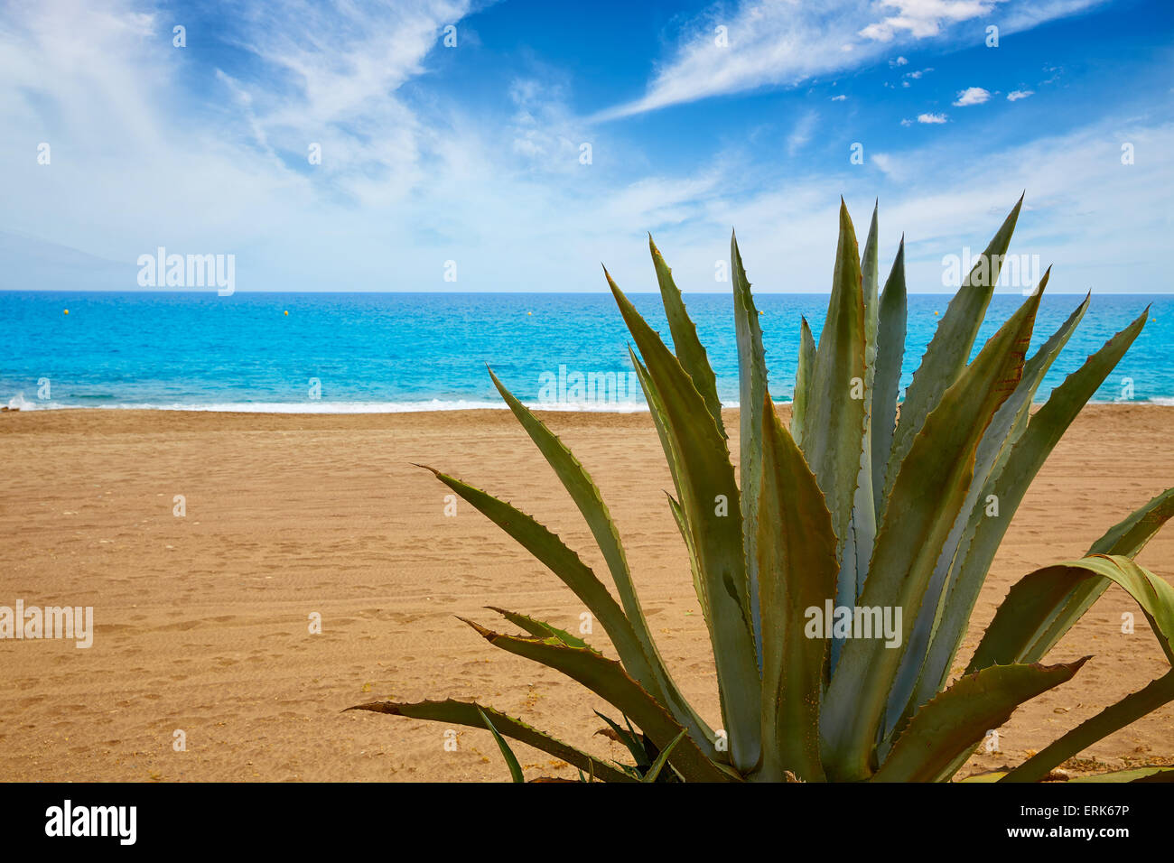 Almeria Mojacar Strand Agave im Mittelmeer von Spanien Stockfoto