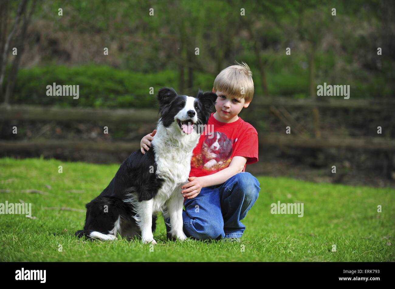 Junge mit Border Collie Stockfoto