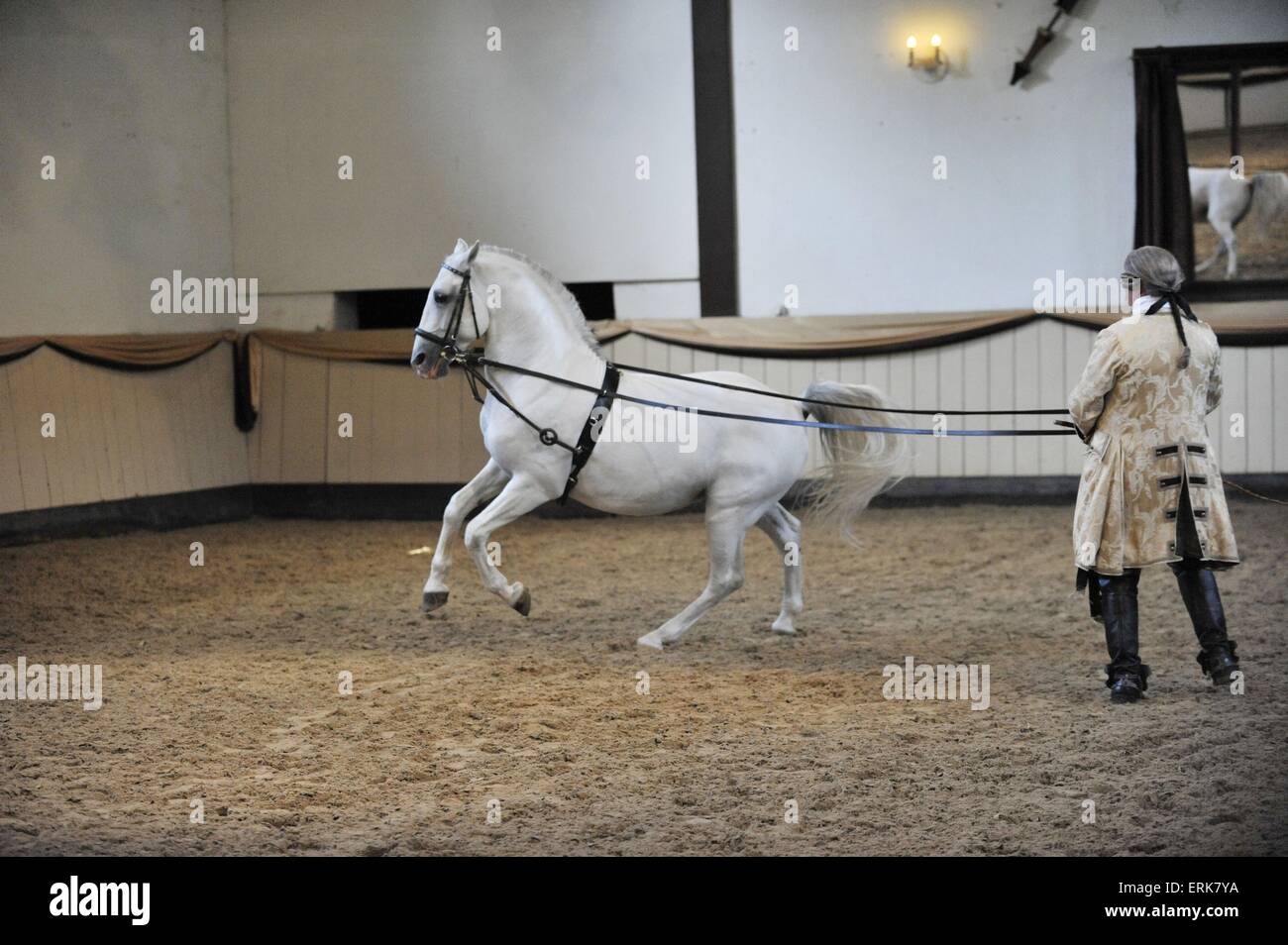 Wolfgang Krischke Mit Lipizzaner Maestoso Amata Stockfoto