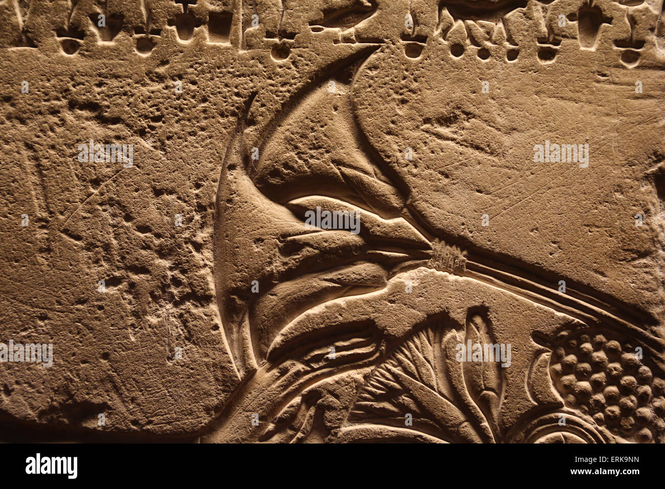 Alten Ägypten. Relief. Lotus-Blume. Vatikanischen Museen. Stockfoto