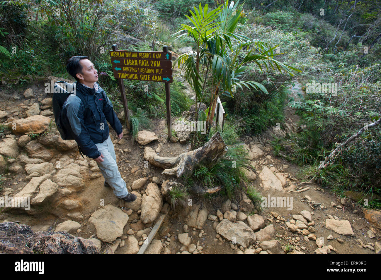 Mann Wanderungen hinunter den Berg, Mount Kinabalu, Sabah, Borneo, Malaysia Stockfoto