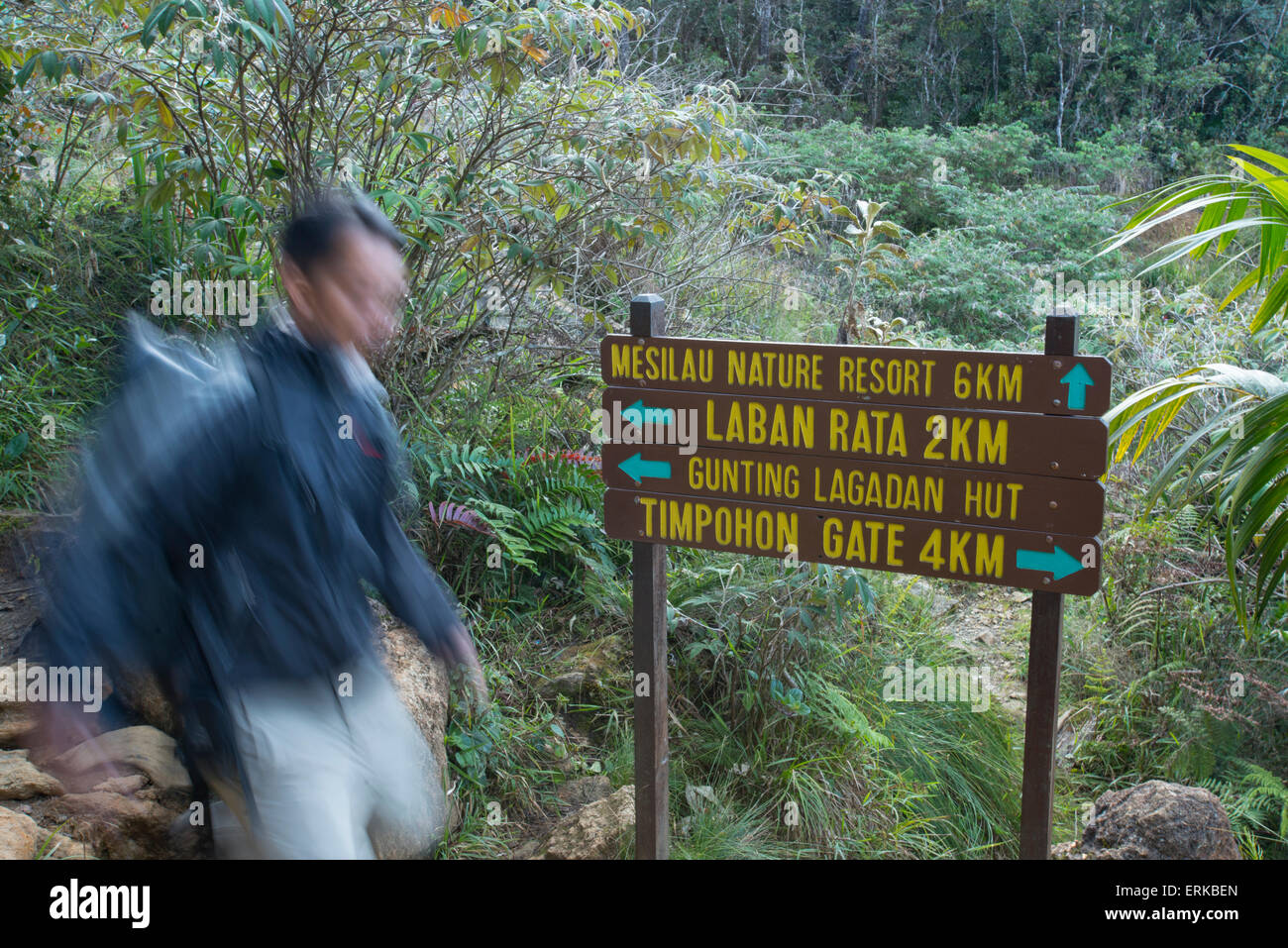 Mann Wanderungen hinunter den Berg, Mount Kinabalu, Sabah, Borneo, Malaysia Stockfoto