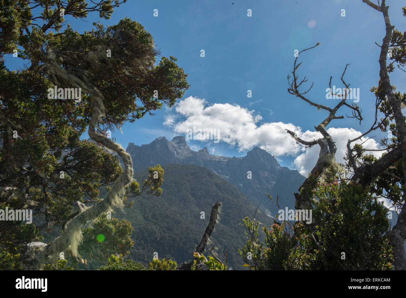 Blick auf Berggipfel unter Bäumen, Mount Kinabalu, Sabah, Borneo, Malaysia Stockfoto