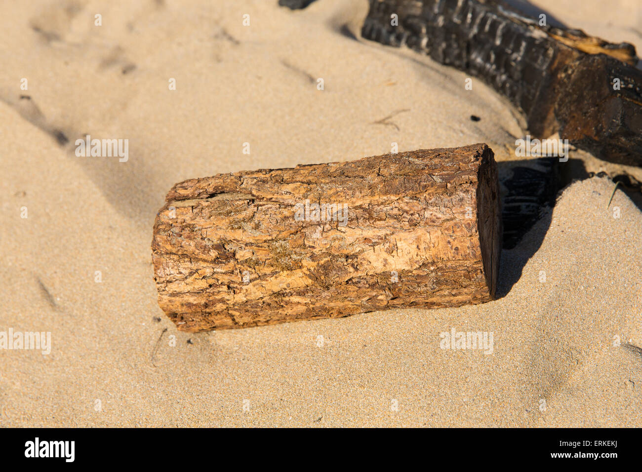 Kleines Stück Schnittholz Holzblock in den Sand am Strand neben verbrannten Überreste der Lagerfeuer in der Sonne Stockfoto