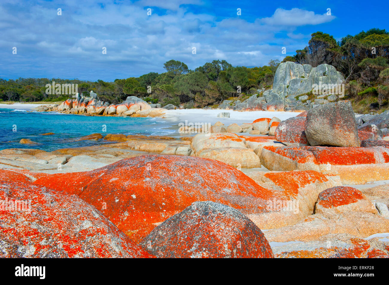 Strand, Bay of Fire, Tasmanien, Australien Stockfoto
