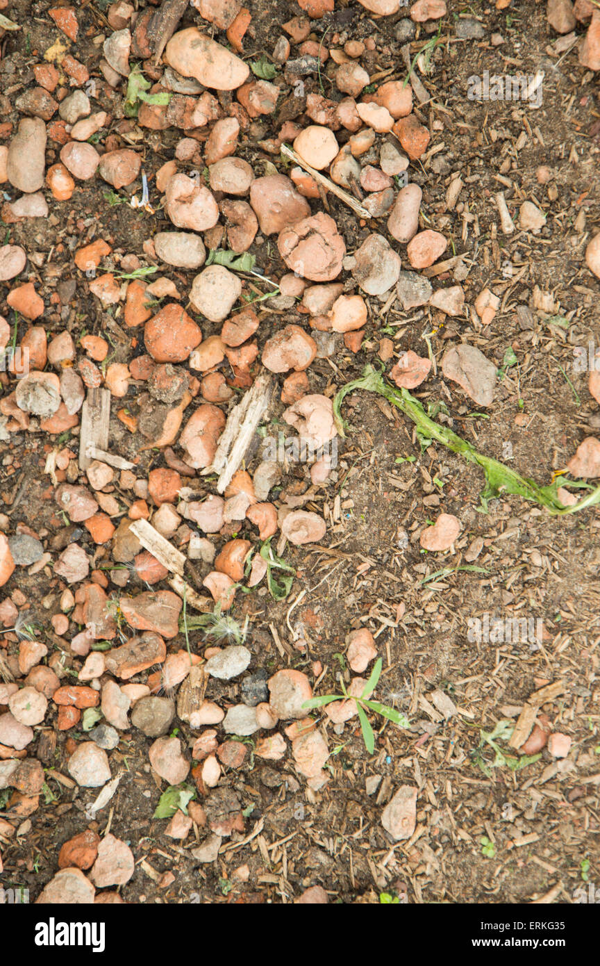 Steinchen auf dem Boden auf dem Hof eines ländlichen Hauses Stockfoto