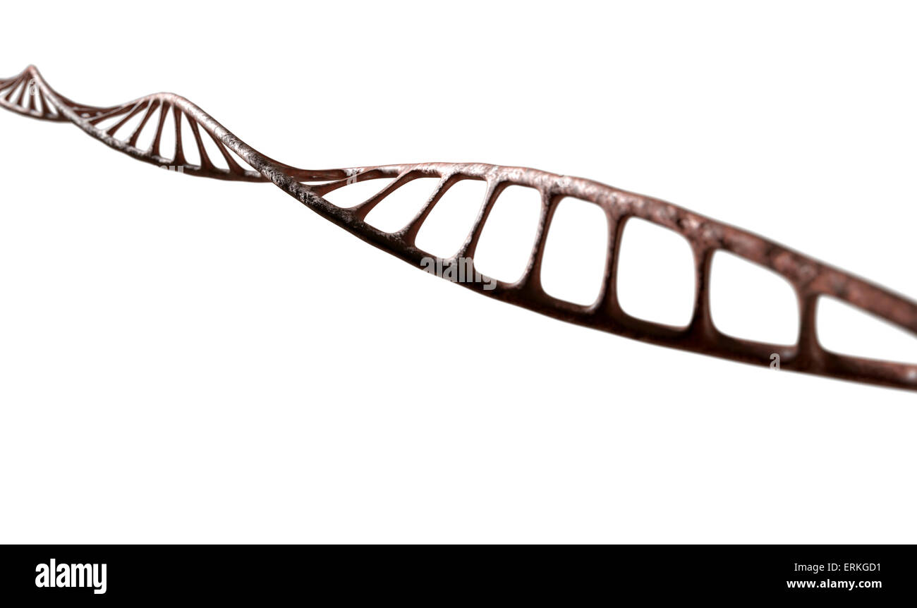 Eine mikroskopische Ansicht aus einem DNA-Stil-Strang des Fleisches auf eine isolierte Hintergrund Stockfoto