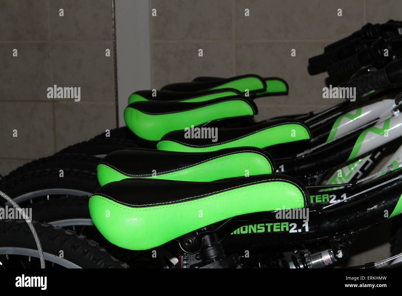 Sitze IN A FAHRRADLADEN, grün, Kleeblatt, Farbe, viel Glück Stockfoto