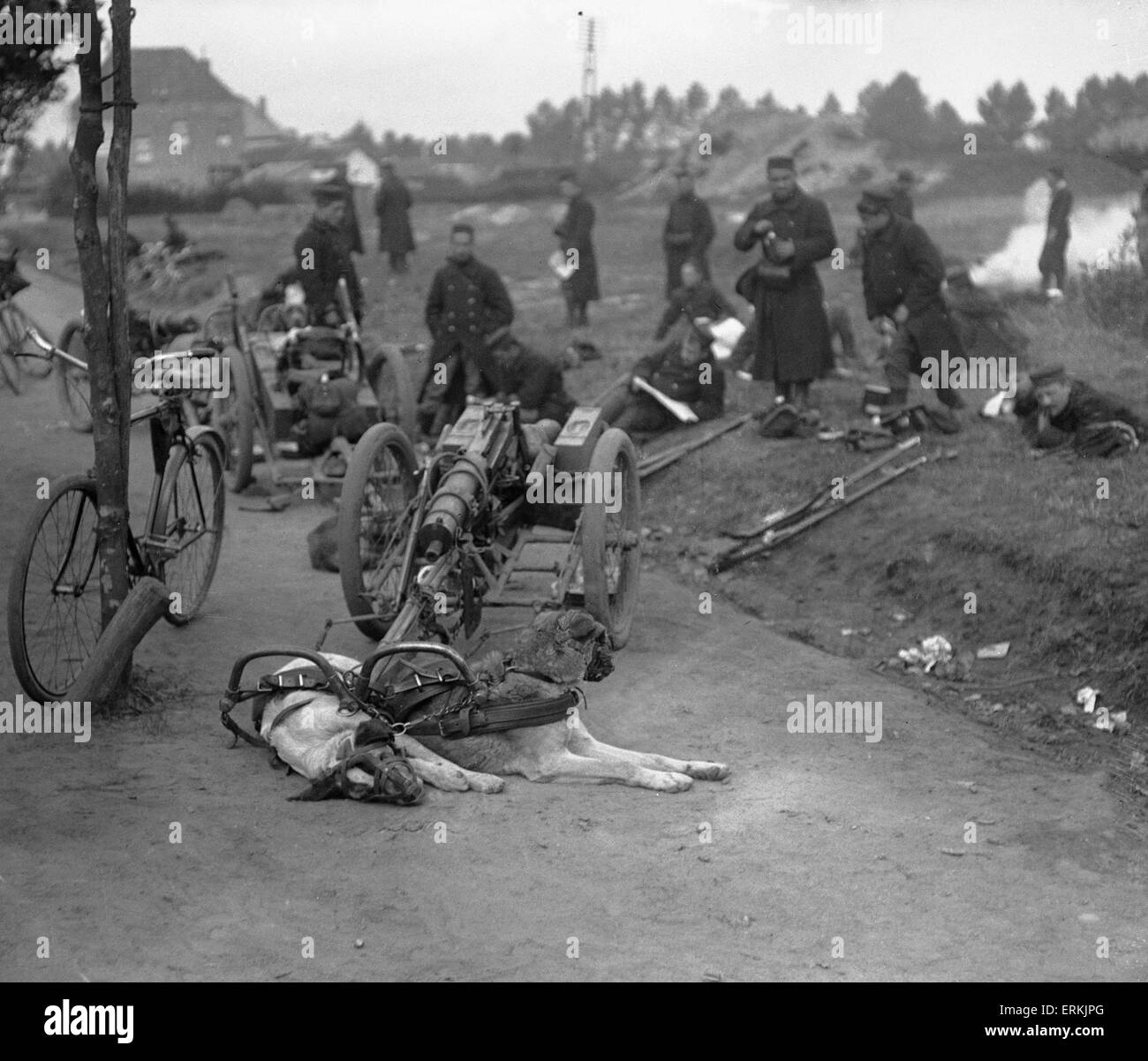 Belgische Jagdhund Teams machen Sie eine Pause auf der Straße, Hofstade 28. September 1914 Stockfoto