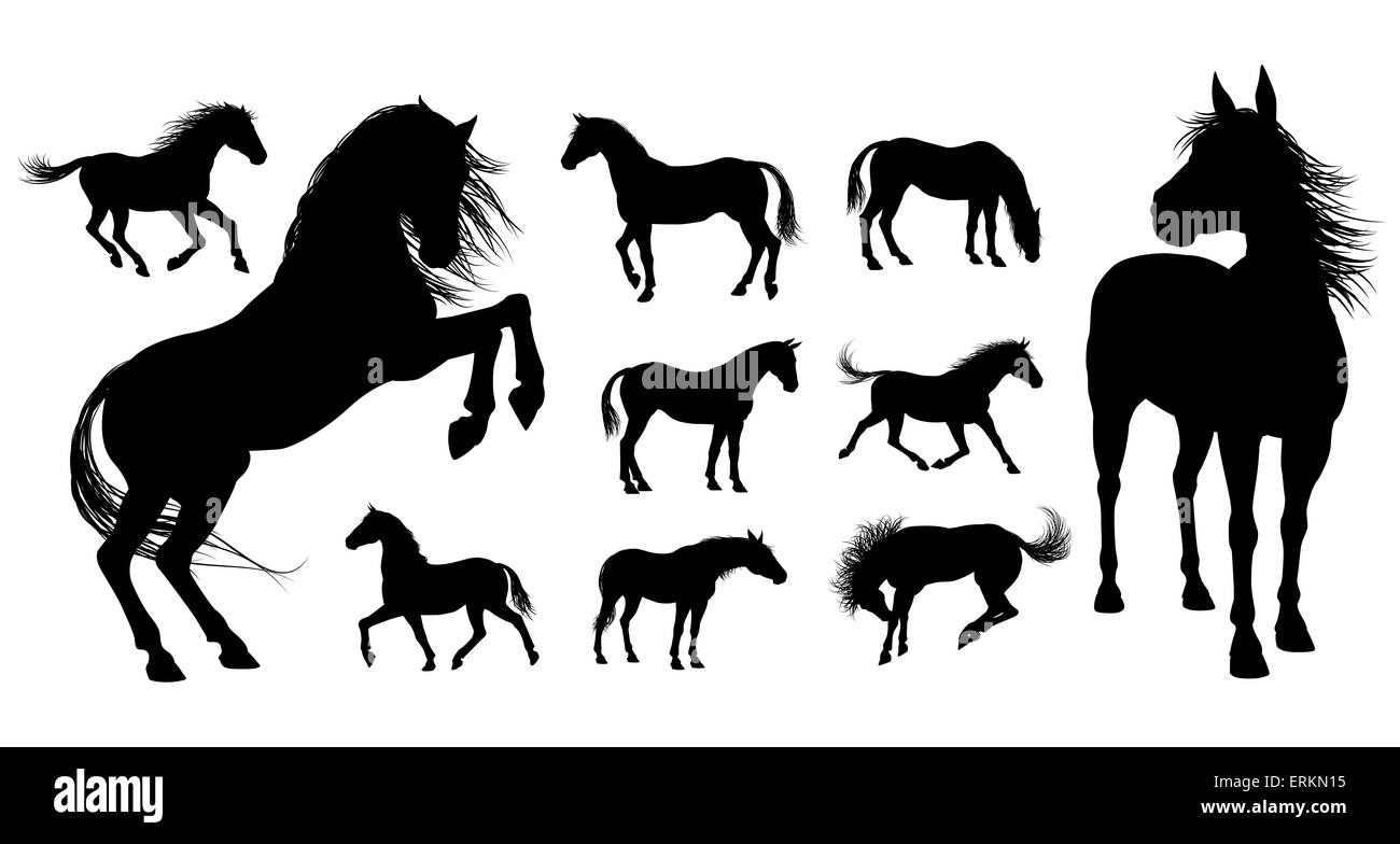 Eine Reihe von sehr hoher Qualität detaillierte Pferde in verschiedenen Posen in der silhouette Stockfoto