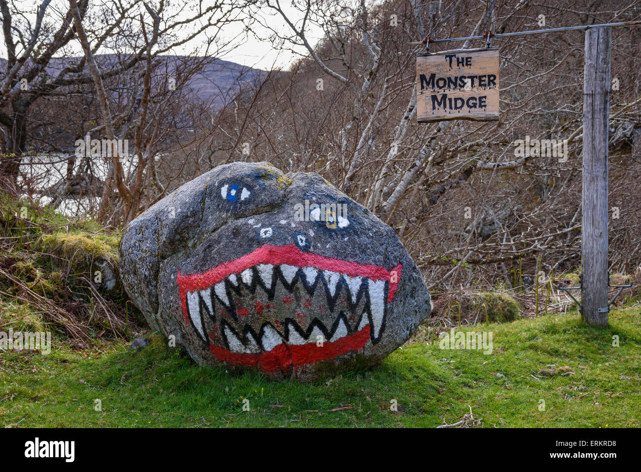 Die Monster-Midge gemalt mutiger in der Nähe von Ardtoe, Ardnamurchan Halbinsel, Lochaber, Highlands, Schottland Stockfoto