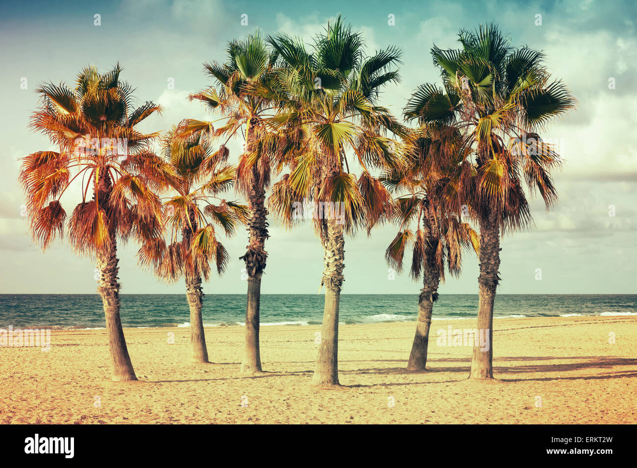 Palmen wachsen auf leeren Sandstrand in Spanien. Vintage-Stil. Foto mit alten Stil bunte Retro-tonale Filter Fotokorrektur Stockfoto