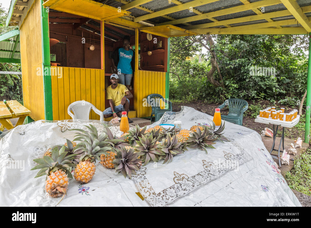 Zwei Jungs, Verkauf von Ananas und Produkte wie Fruchtfleisch und Saft an einem Kiosk an der Seite von Big Tree Drive, Antigua Stockfoto