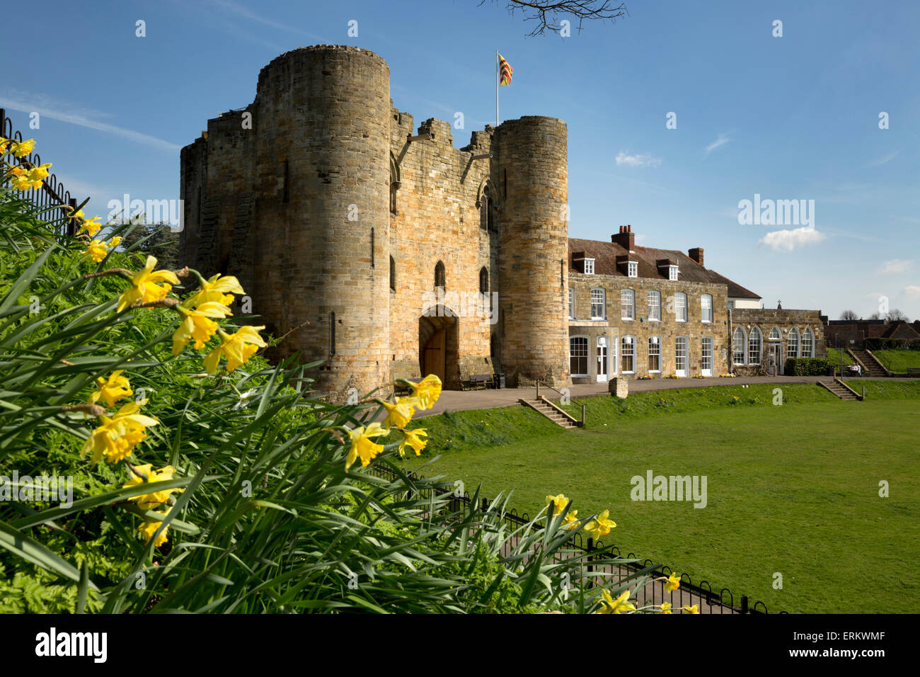Tonbridge Castle mit Narzissen, Tonbridge, Kent, England, Vereinigtes Königreich, Europa Stockfoto