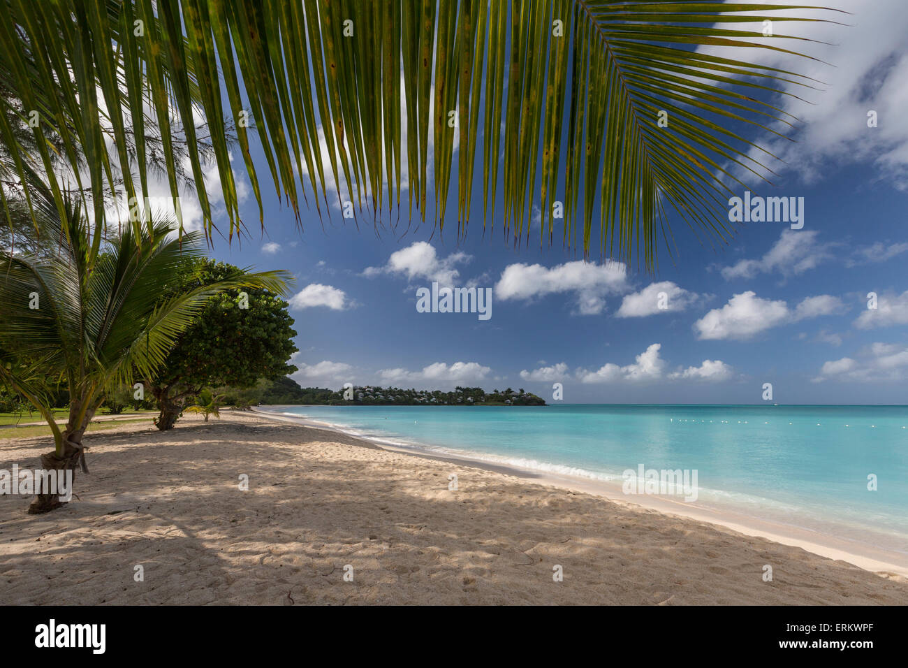 Blätter der Palmen verstecken den Himmel über Tal Kirche Strand, weißen Sand im Wasser des Lignum Vitae Bay, Antigua bietet Stockfoto