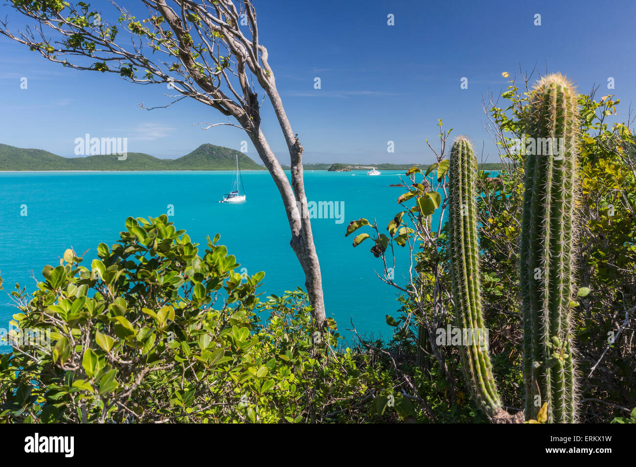 Panoramablick auf Spearn Bucht von einem Hügel mit Blick auf die ruhige Lagune, besucht von vielen Segelbooten, St. Johns, Antigua Stockfoto