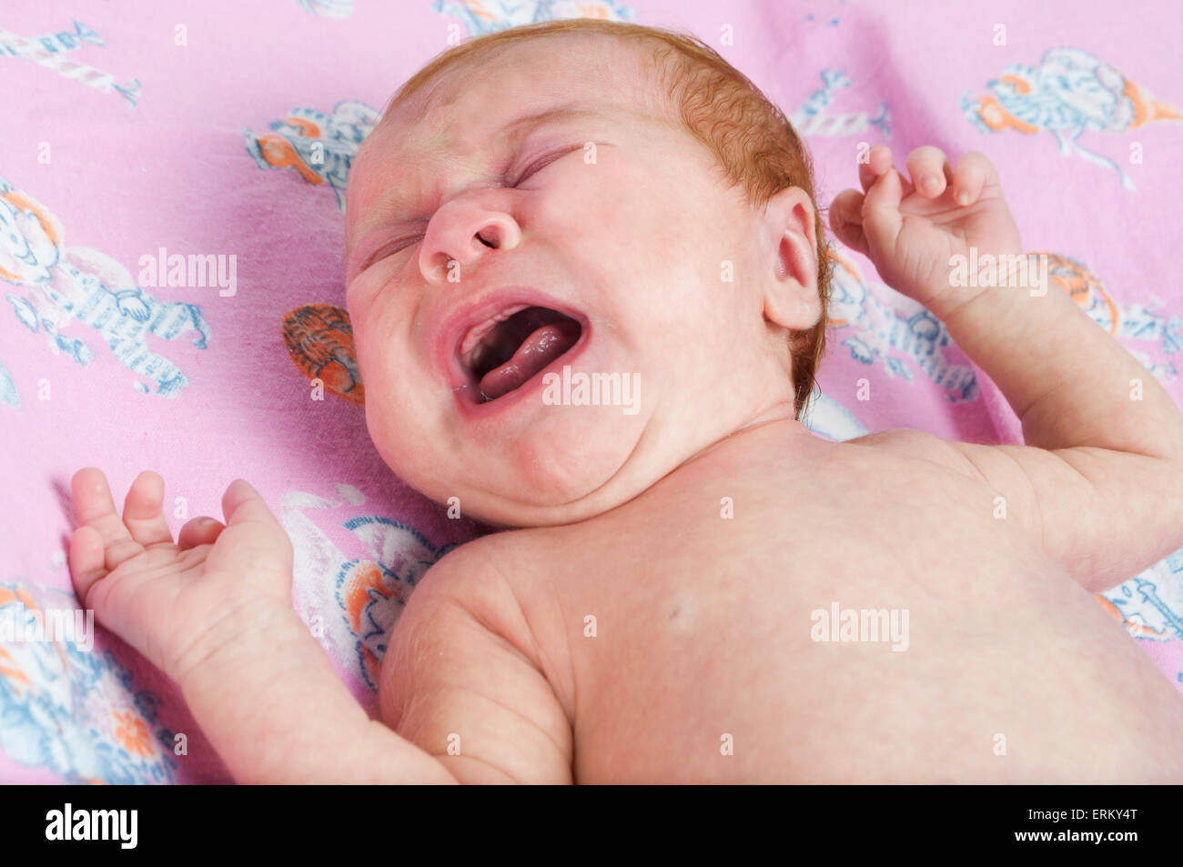 Neugeborenes Baby zu weinen. Stockfoto