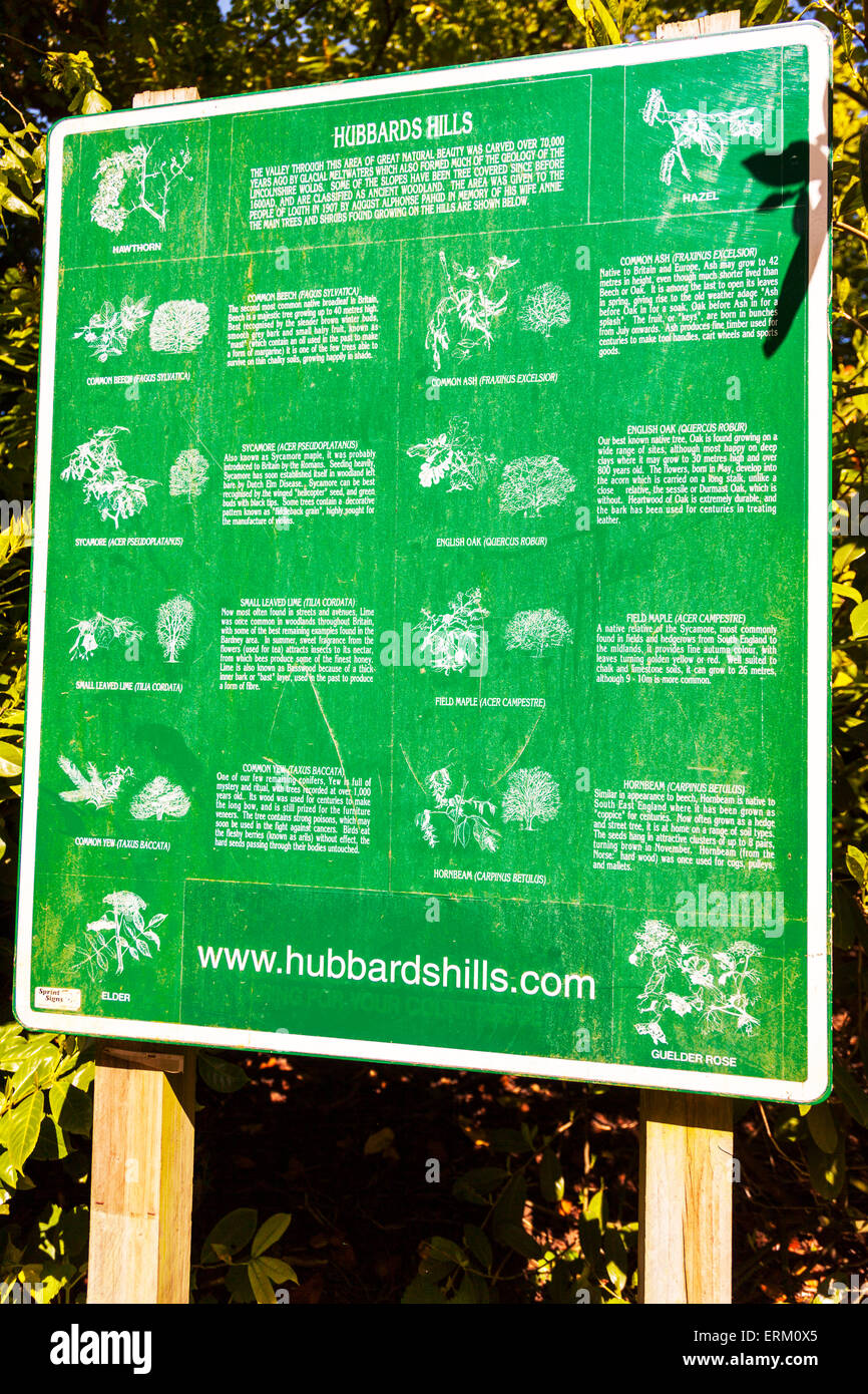 Zeichen, die Anzeigen von englischen und lateinischen Namen für Flora und Fauna Forna Bäume Pflanzen UK England Landschaftspark Louth Lincolnshire Stockfoto