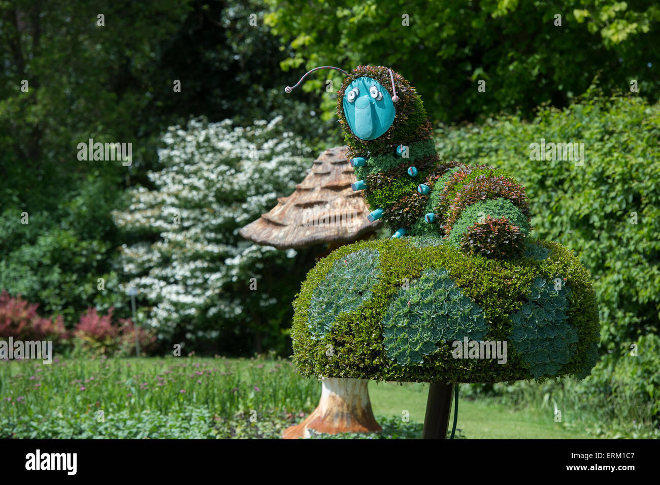 Die Raupe sitzt auf einem Pilz an Alice im Wunderland-Veranstaltung im RHS Wisley Gardens, Surrey, England Stockfoto