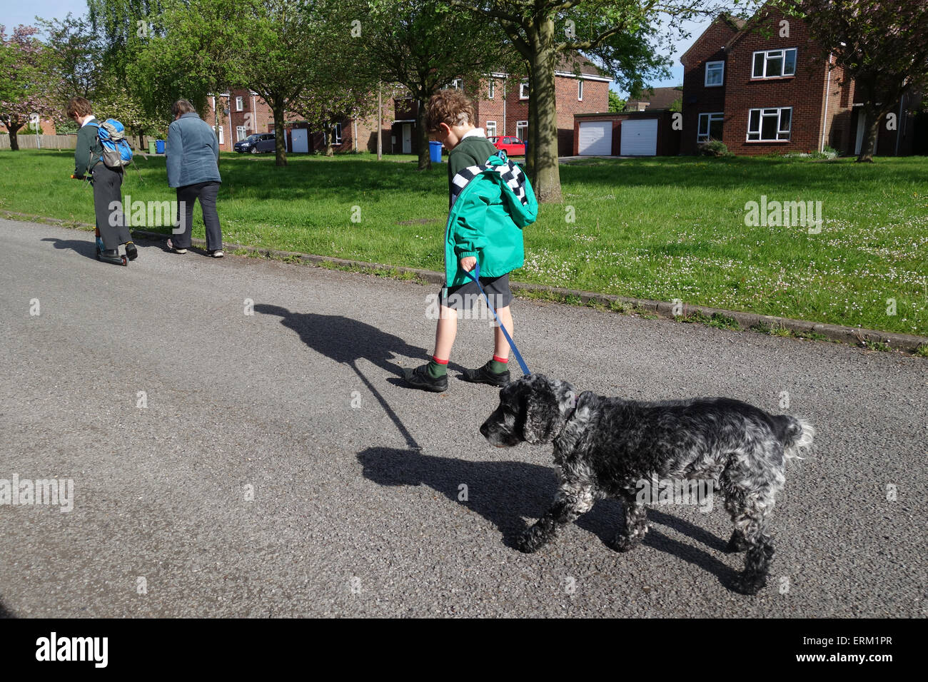 Jungen gehen zur Schule und Hund an der Leine Stockfoto