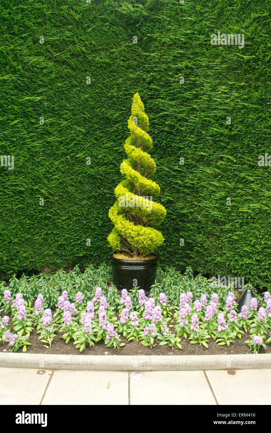 niedliche Baum Stockfoto