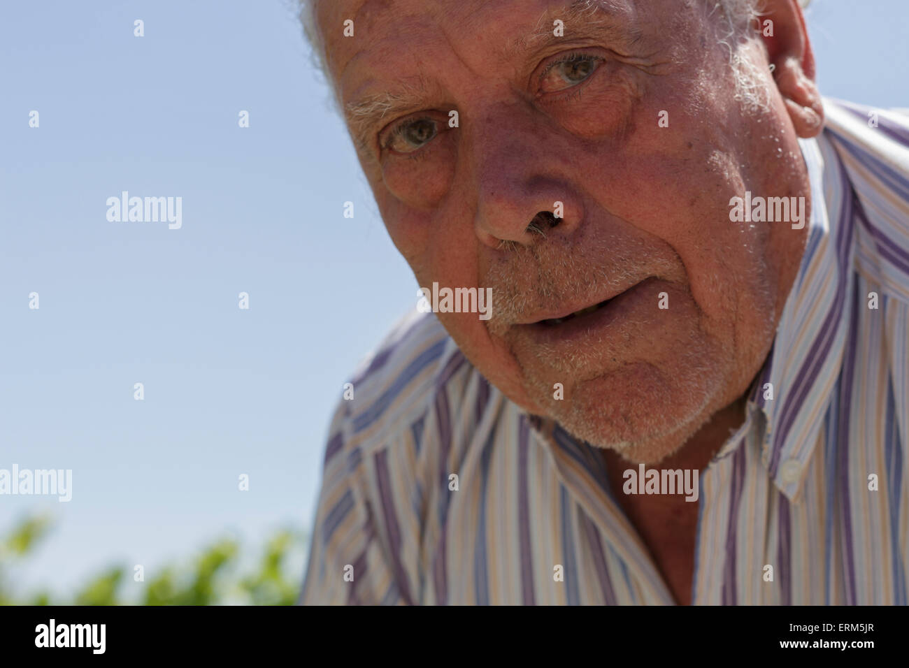 Rentner in seinem kleinen Obstgarten auf Kamera Stockfoto
