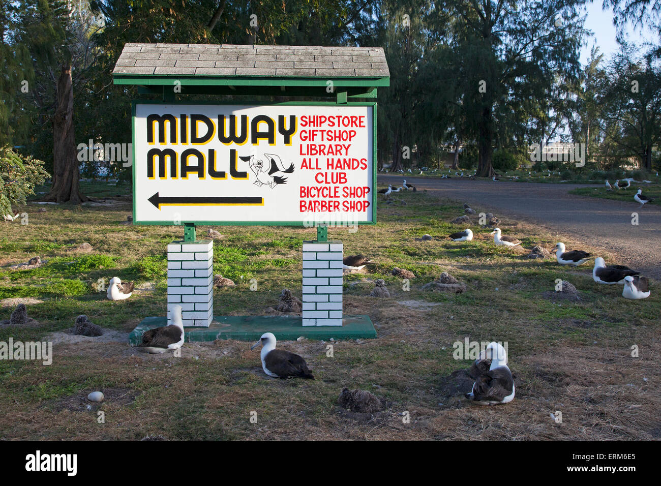 Midway Mall auf Midway Atoll Stockfoto