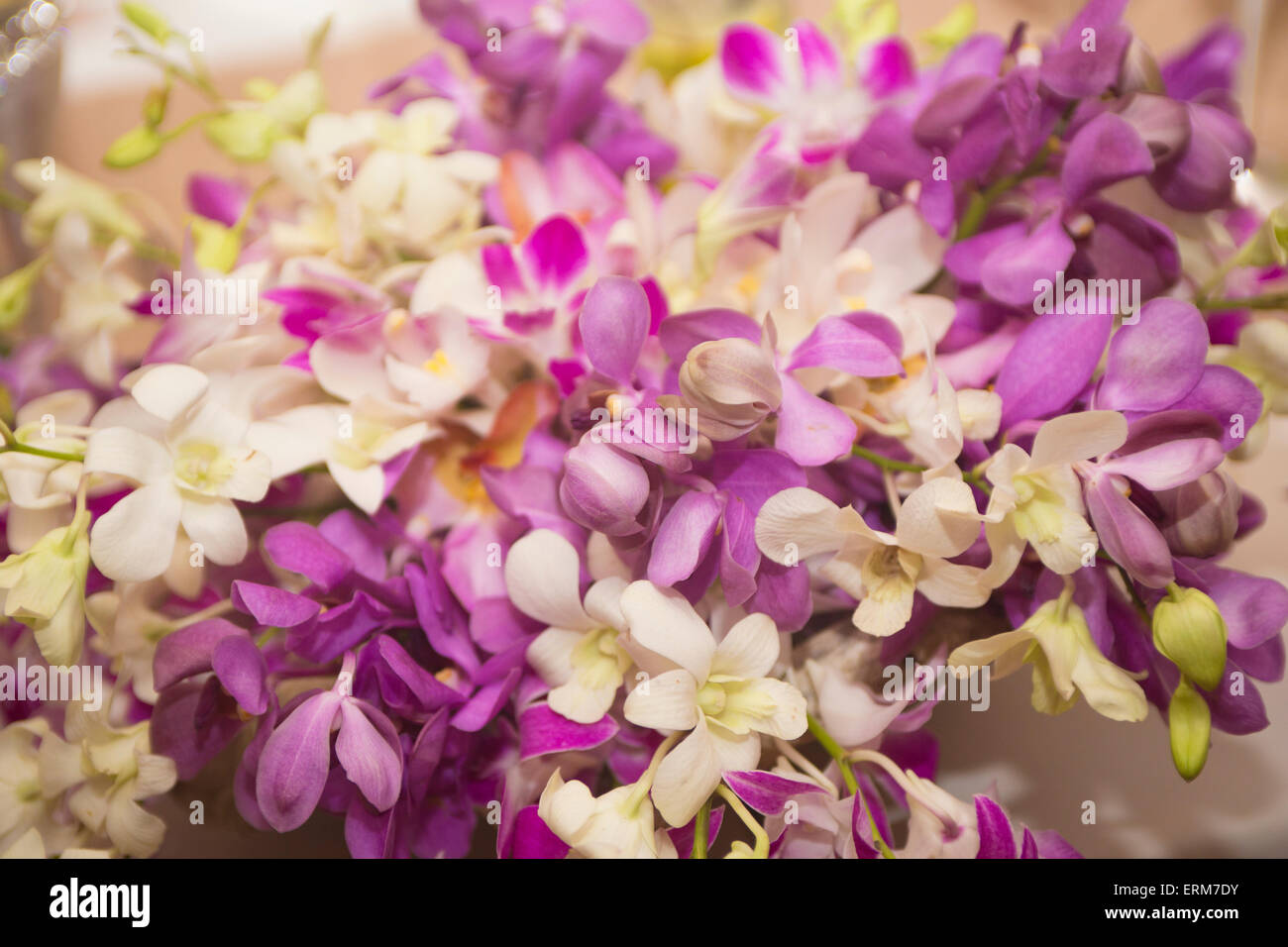 Blumenarrangement für besondere Anlässe - vor allem Hochzeiten Stockfoto