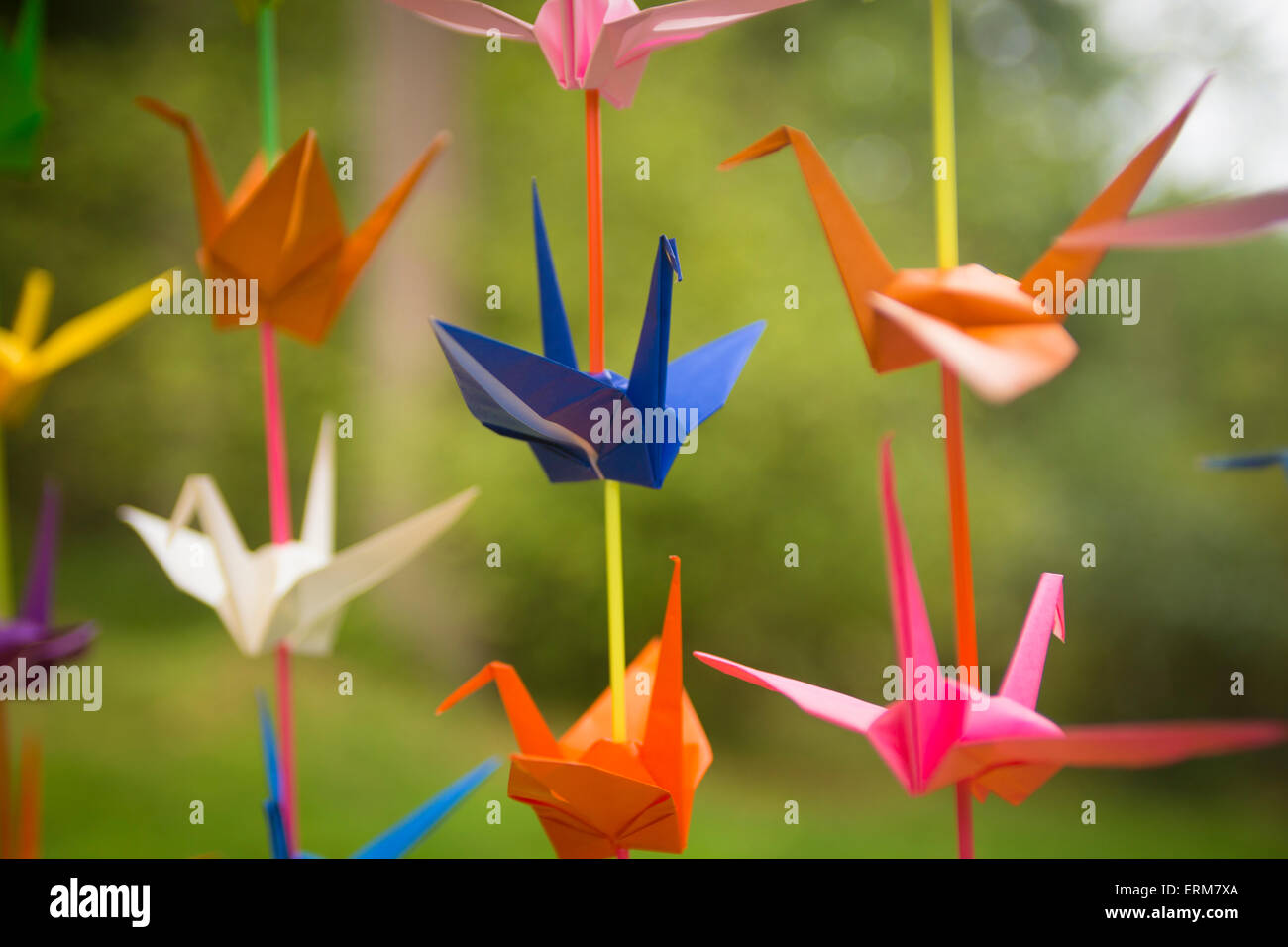 Lebendige Origami-Kraniche Stockfoto