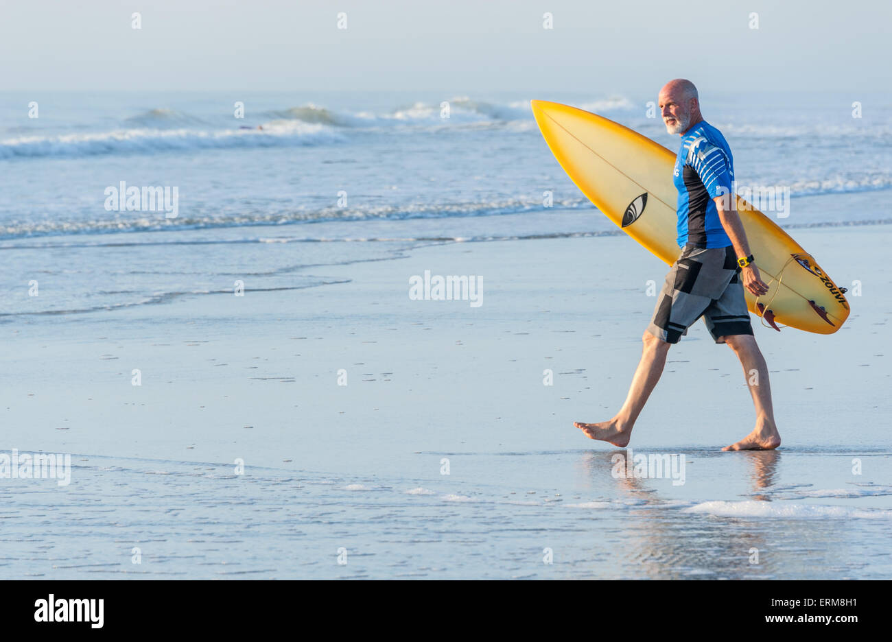 Eine senior Surfer in Jacksonville Beach, Florida betritt die menschenleere Wasser für einen Sonnenaufgang-Surf-Session. Stockfoto