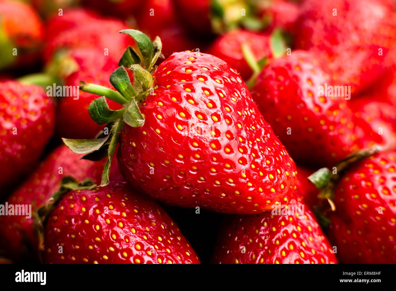 Erdbeere Makro Nahaufnahme Stockfoto
