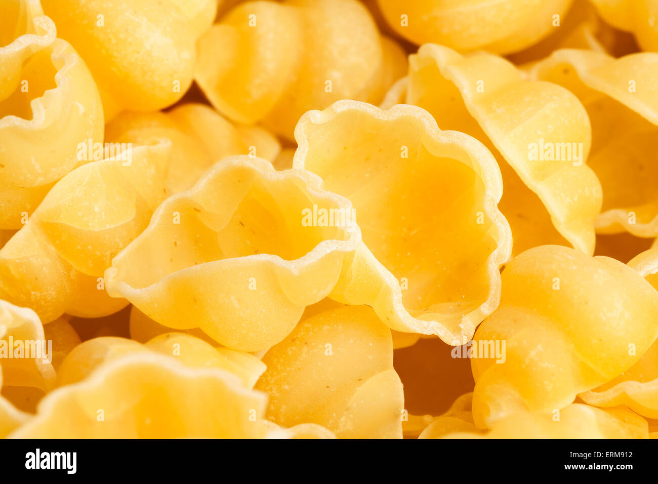 Pasta-Makro-Nahaufnahme Stockfoto