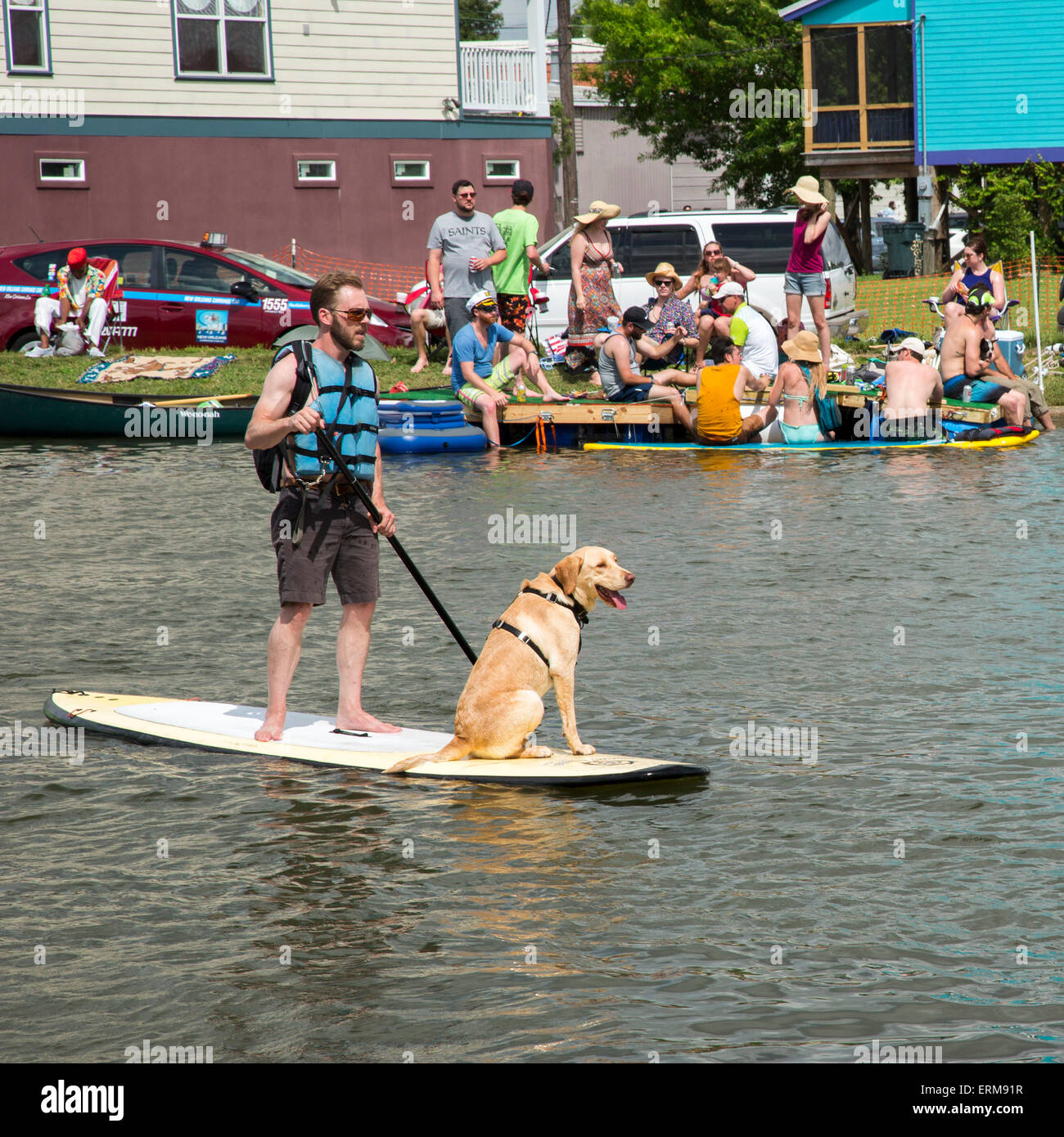 New Orleans, Louisiana - ein Mann und sein Hund auf einem standup Paddle Board auf Bayou St. John. Stockfoto