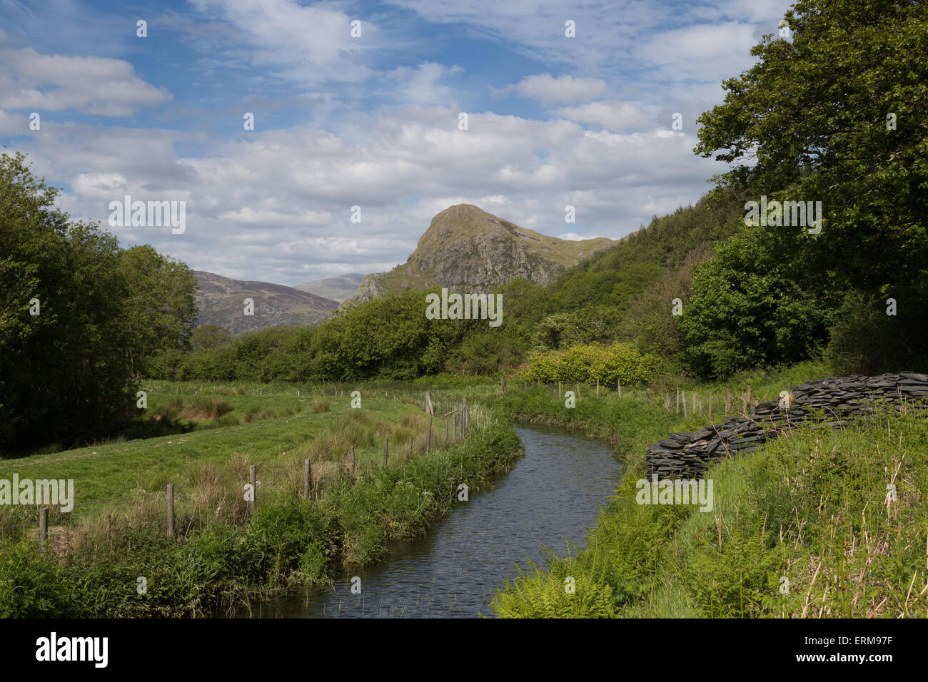 Craig yr Aderyn (Vogelfelsen) in der Nähe von Llanfihangel-y-Wimpel. Der Fels ist ein wichtiger Nistplatz für seltene Alpenkrähe. Stockfoto