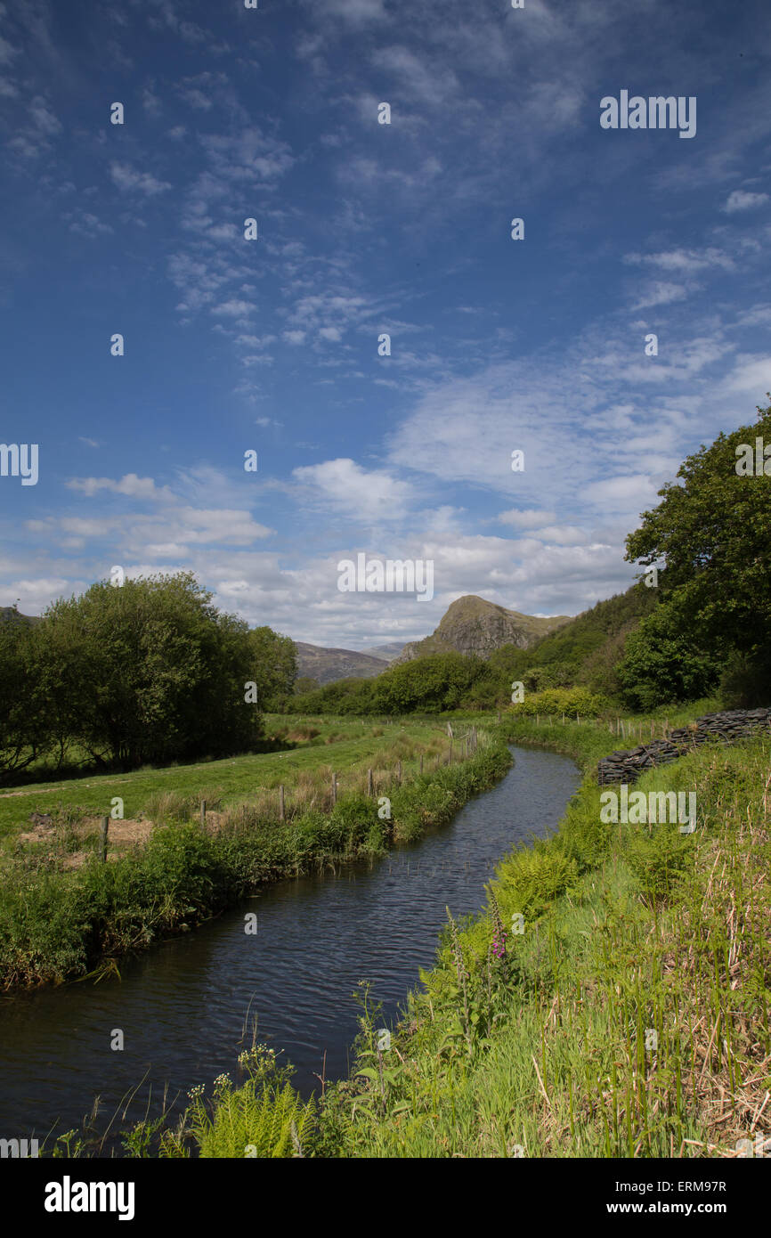 Craig yr Aderyn (Vogelfelsen) in der Nähe von Llanfihangel-y-Wimpel. Der Fels ist ein wichtiger Nistplatz für seltene Alpenkrähe. Stockfoto